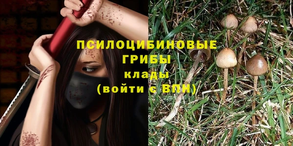 MDMA Premium VHQ Каменка