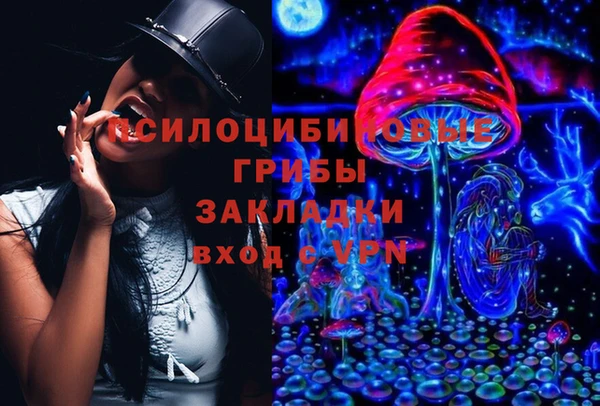MDMA Premium VHQ Каменка